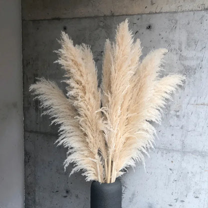 Gedroogde Pampas Pluimen – Natuurlijke Woondecoratie voor een Warme & Stijlvolle Sfeer