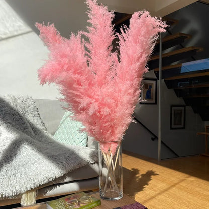 Gedroogde Pampas Pluimen – Natuurlijke Woondecoratie voor een Warme & Stijlvolle Sfeer