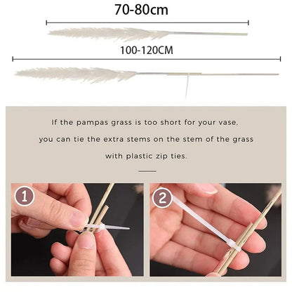 Gedroogde Pampas Pluimen – Natuurlijke Woondecoratie voor een Warme & Stijlvolle Sfeer