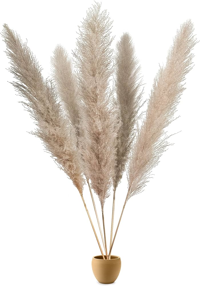 Gedroogde Pampas Pluimen – Natuurlijke Woondecoratie voor een Warme & Stijlvolle Sfeer