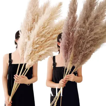 Gedroogde Pampas Pluimen – Natuurlijke Woondecoratie voor een Warme & Stijlvolle Sfeer